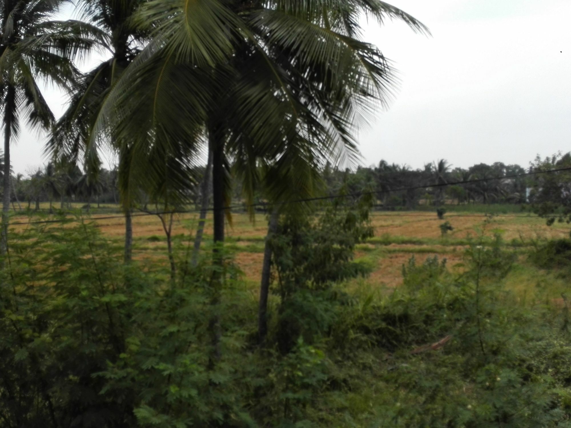 Salubrious Resort Anuradhapura Esterno foto